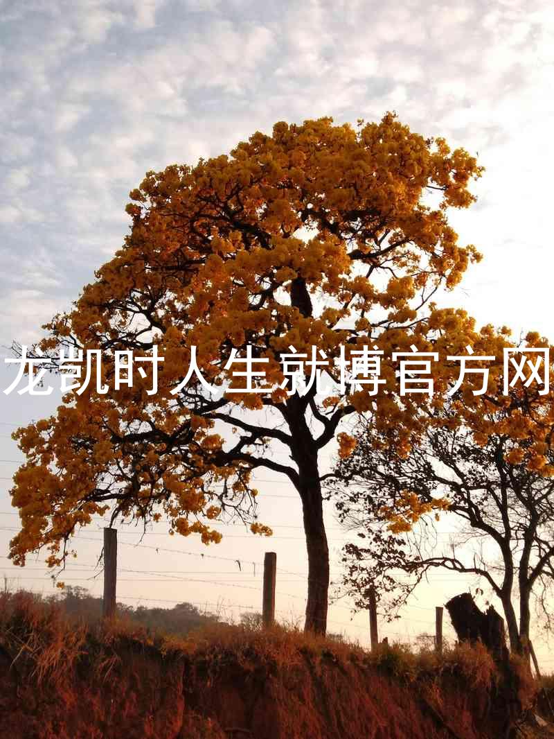 尊龙凯时人生就博官方网站