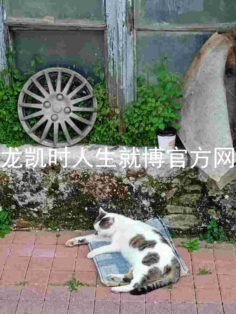 尊龙凯时人生就博官方网站